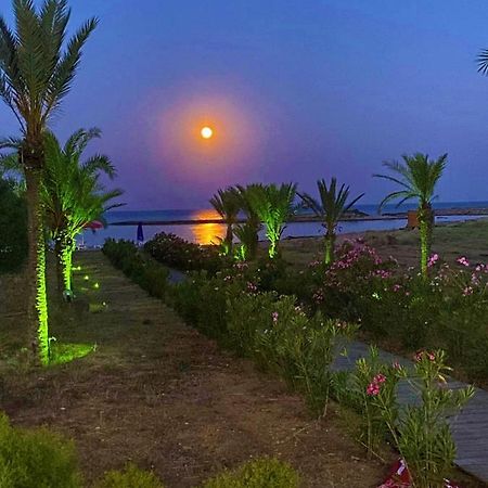 Paradise Karpaz Hotel & Restaurant Rizokarpaso Eksteriør billede