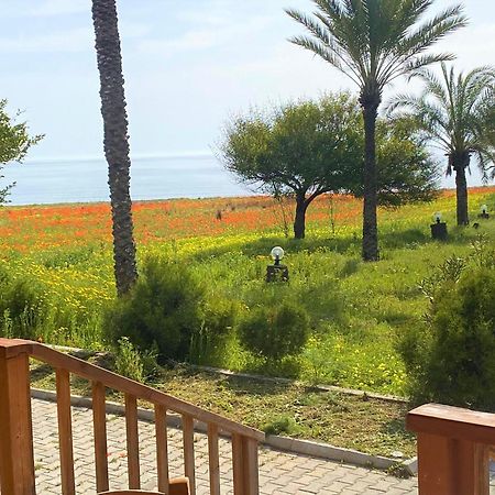 Paradise Karpaz Hotel & Restaurant Rizokarpaso Eksteriør billede
