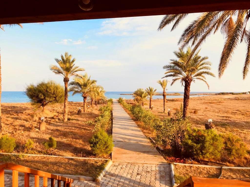Paradise Karpaz Hotel & Restaurant Rizokarpaso Eksteriør billede