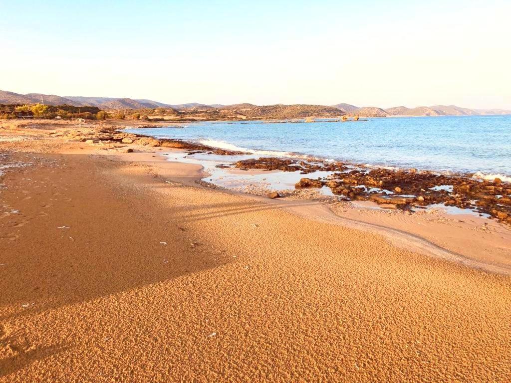 Paradise Karpaz Hotel & Restaurant Rizokarpaso Eksteriør billede