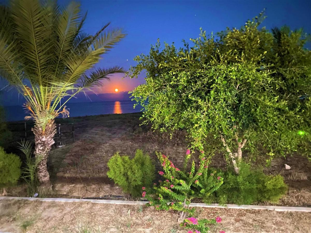 Paradise Karpaz Hotel & Restaurant Rizokarpaso Eksteriør billede