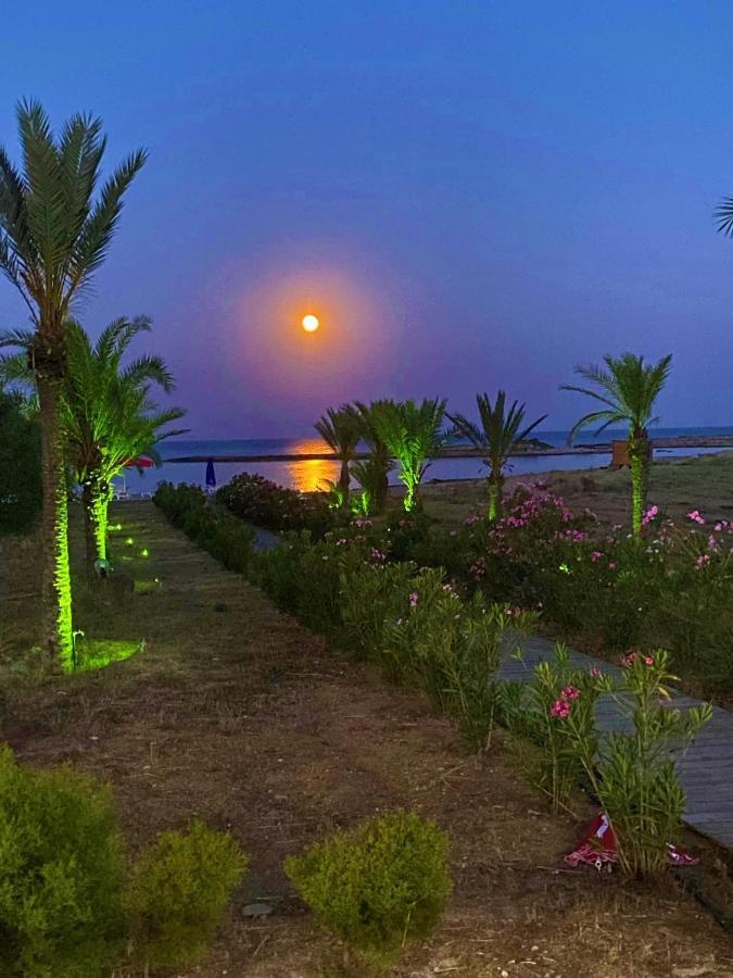 Paradise Karpaz Hotel & Restaurant Rizokarpaso Eksteriør billede