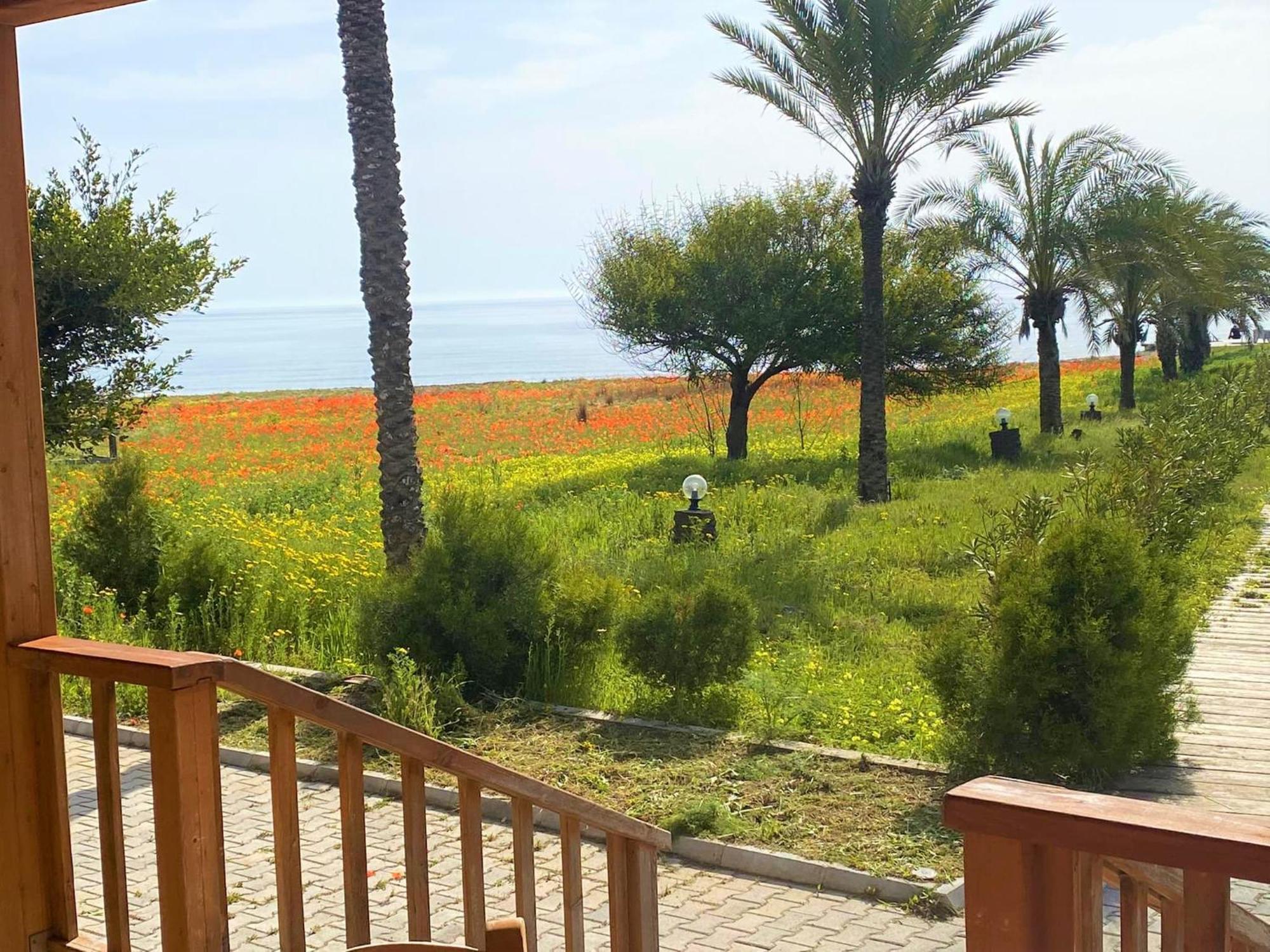 Paradise Karpaz Hotel & Restaurant Rizokarpaso Eksteriør billede
